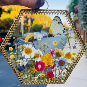 Pressed flower frame with a real preserved butterfly