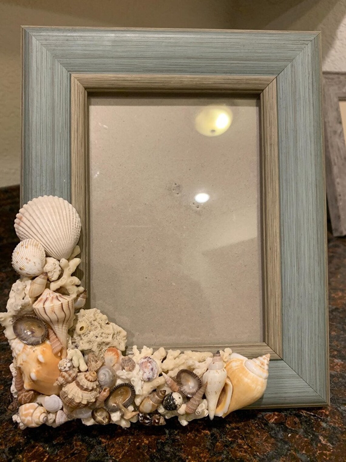 Seashell Frame 5X7 Etsy