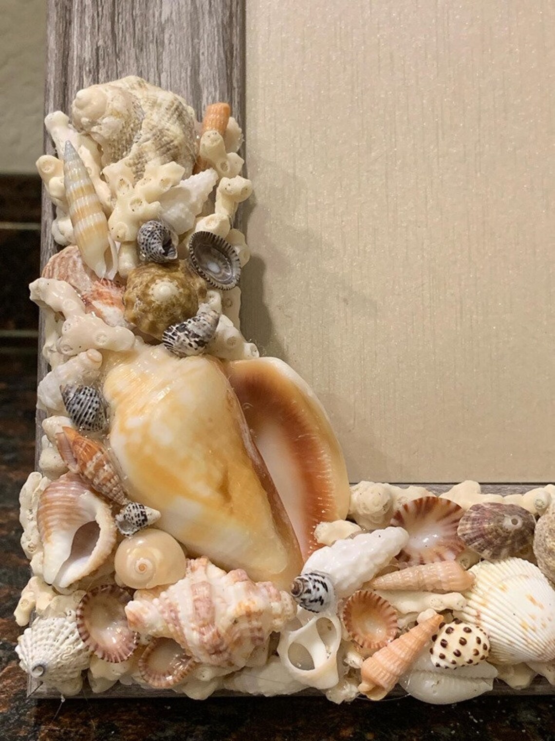 Seashell Frame 5X7 Etsy