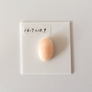 16.7x10.9mm, Natural deep sea angel skin color coral oval cabochon, Natural pink color coral loose, For jewelry making