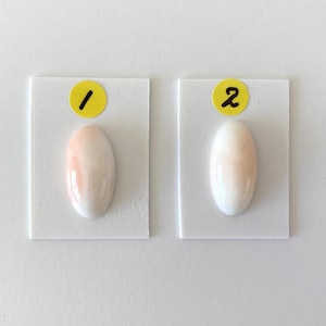 Natural Deep Sea Coral Oval Cabochon, Natural Pink / Genuine White Color Coral Loose For Jewelry Making, Price per Piece