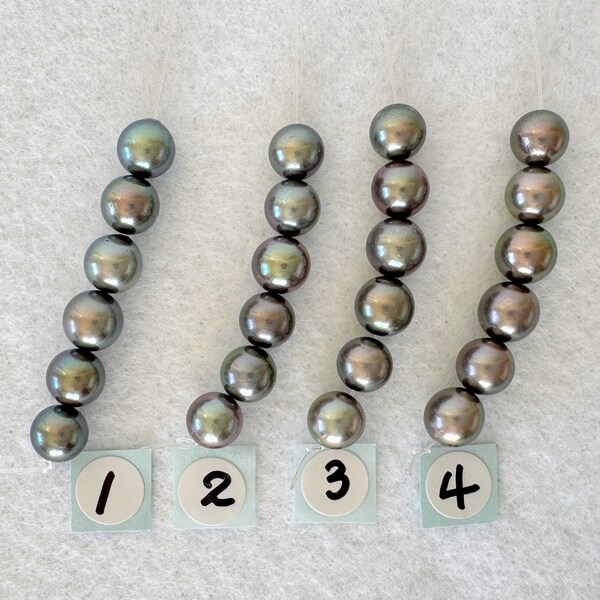 Perles d'Akoya paon japonais noires, 6,5-7 mm, mini rang de 6 pièces, brin court, véritable perle d'Akoya, cultivée dans l'eau de mer