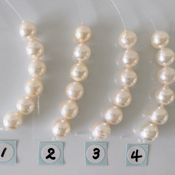 Japanese White-cream Akoya Pearl Beads, 7.5-8mm, Mini Strand, Short Strand, 6 Pieces, Genuine Akoya Pearl, Cultured in Sea Water