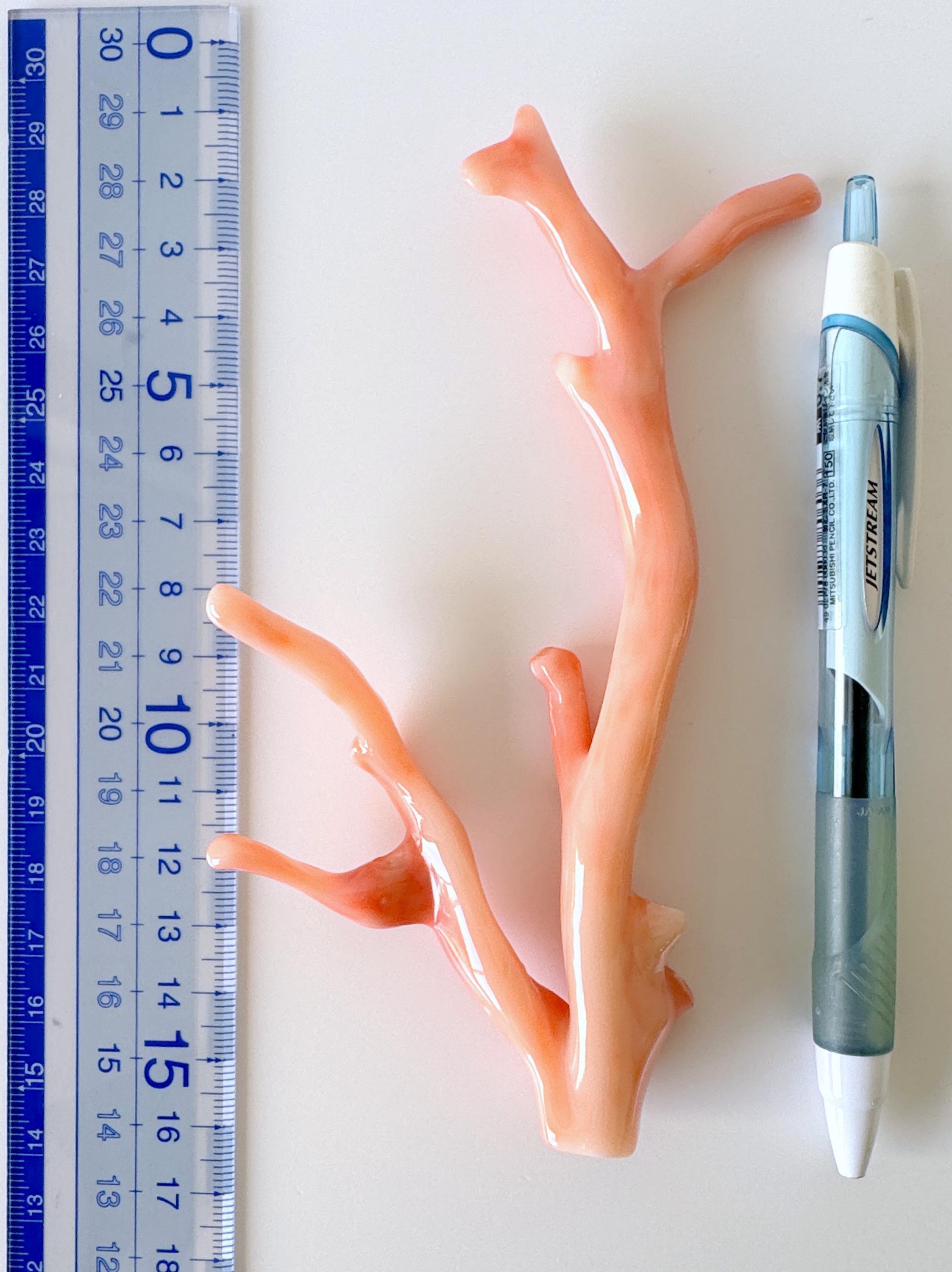深海珊瑚の枝 - 天然ピンクオレンジ珊瑚 - 本物のばら売り、14.5 x 7