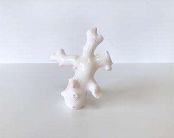 White Coral Branch Natural Display: Coastal Ornament, Genuine White Coral (6.5x8.2cm, Handmade Accessory)