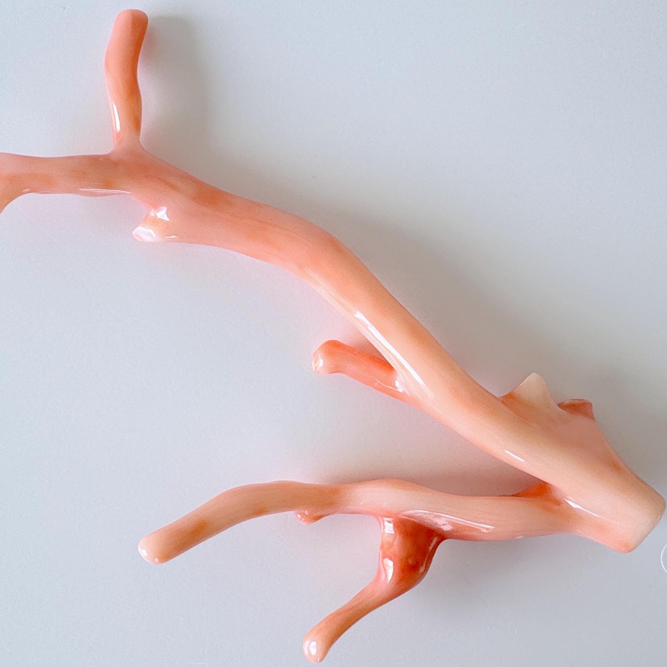 深海珊瑚の枝 - 天然ピンクオレンジ珊瑚 - 本物のばら売り、14.5 x 7