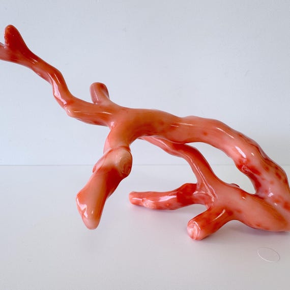 天然サンゴ 枝状コーラル ピンクオレンジ 17.5x7cm 天然深海珊瑚の枝 ルース 本物の天然色オレンジ
