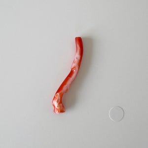 Japanese Red Coral Branch: Aka Natural Red Coral - 43mm Length, Side Full Hole, Jewelry Making Supply image 8