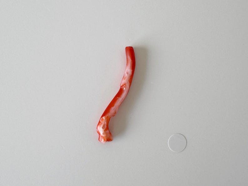 Japanese Red Coral Branch: Aka Natural Red Coral - 43mm Length, Side Full Hole, Jewelry Making Supply image 8