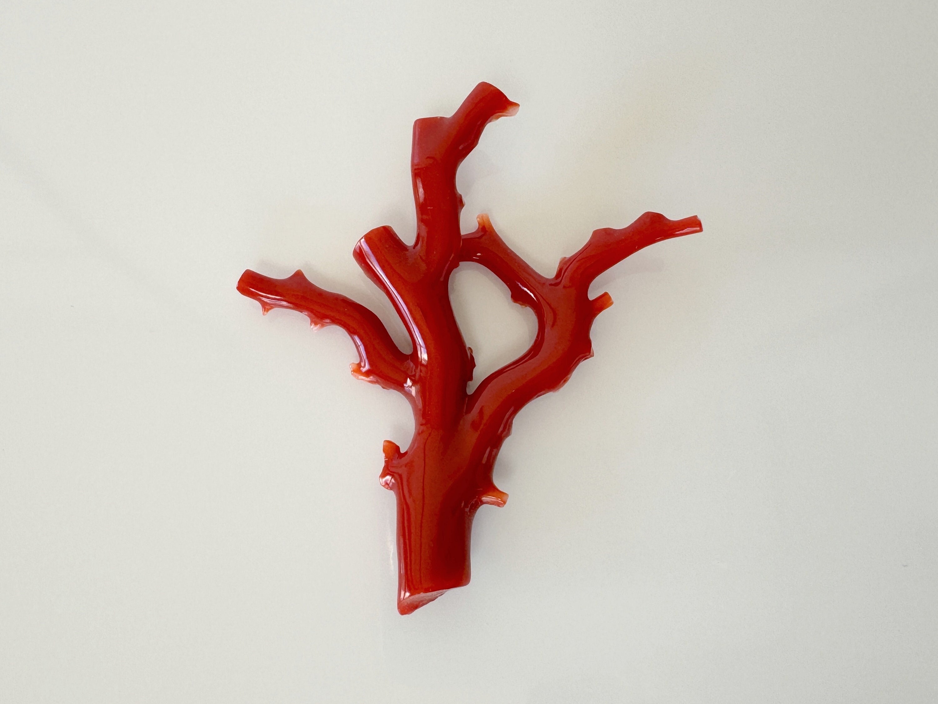 Red branch sale coral