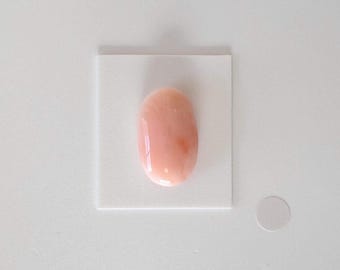 Cabochon ovale di corallo di profondità: colore naturale rosa-arancio - pietra preziosa autentica, 22 x 13 mm, per la creazione di gioielli