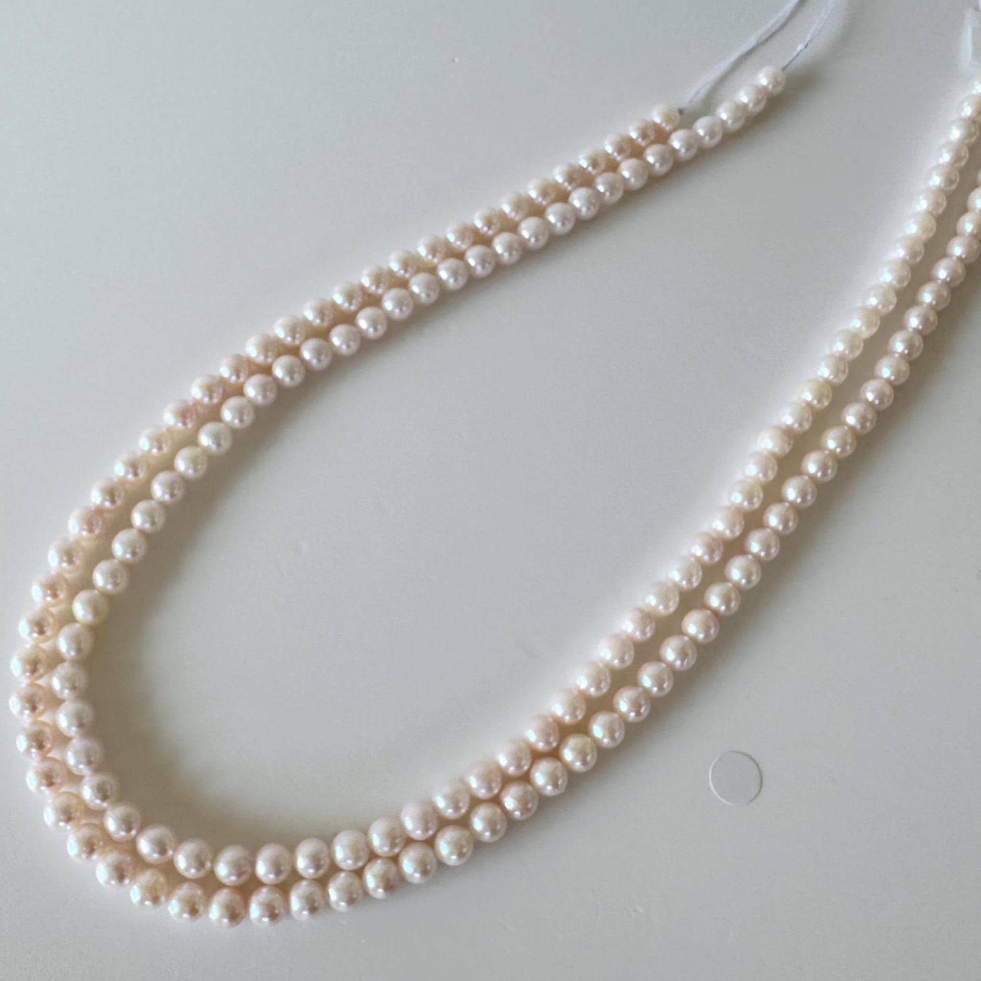 CoralJapan - Etsy 日本