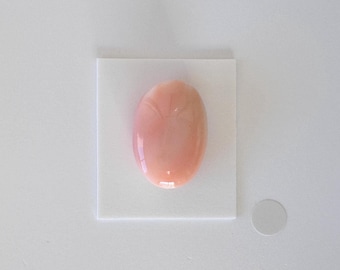 Cabochon ovale in corallo di acque profonde - Pietra preziosa naturale rosa, bianca e arancione - 22,5x15,5 mm, corallo autentico, materiali artigianali