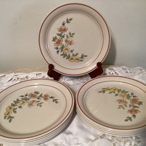 10 Vintage Corning Cornerstone luncheon plates (  Royal Garden )