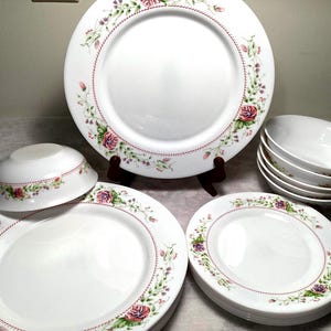 Vintage Arcopal Victorian Charm Dinnerware Set ( 18 pieces )