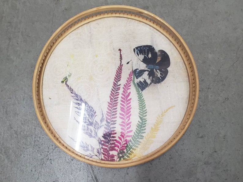 Interpur R.O.C Butterfly Serving Tray with Coasters