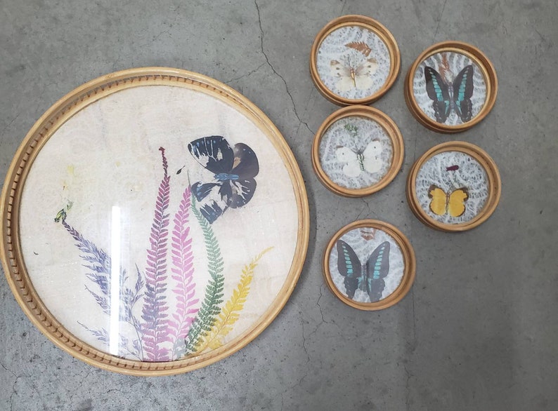 Interpur R.O.C Butterfly Serving Tray with Coasters