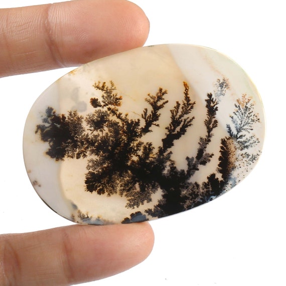 Dendritic Agate Dendritic Agate