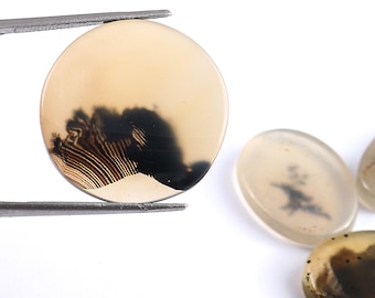 Cabujón de ágata dendrítica natural, gema paisajística para la fabricación de joyas.