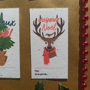 Lots de 6 CARTES pour CADEAUX de NOEL en papier ensemencé collection foret et animaux 2022 image 7