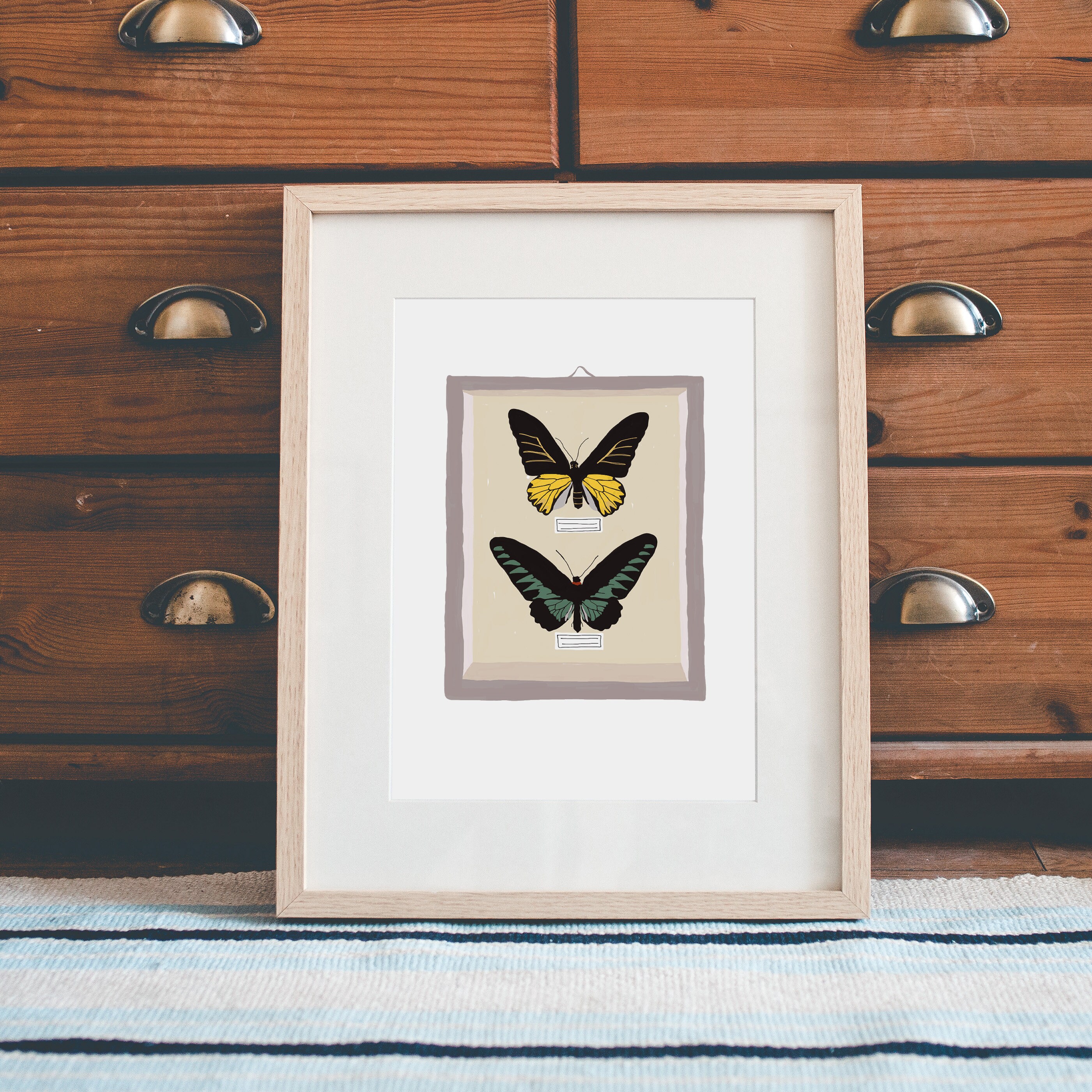 Papillons, Affiche, Taxidermie, Art Mural, Print, Leo Bizard