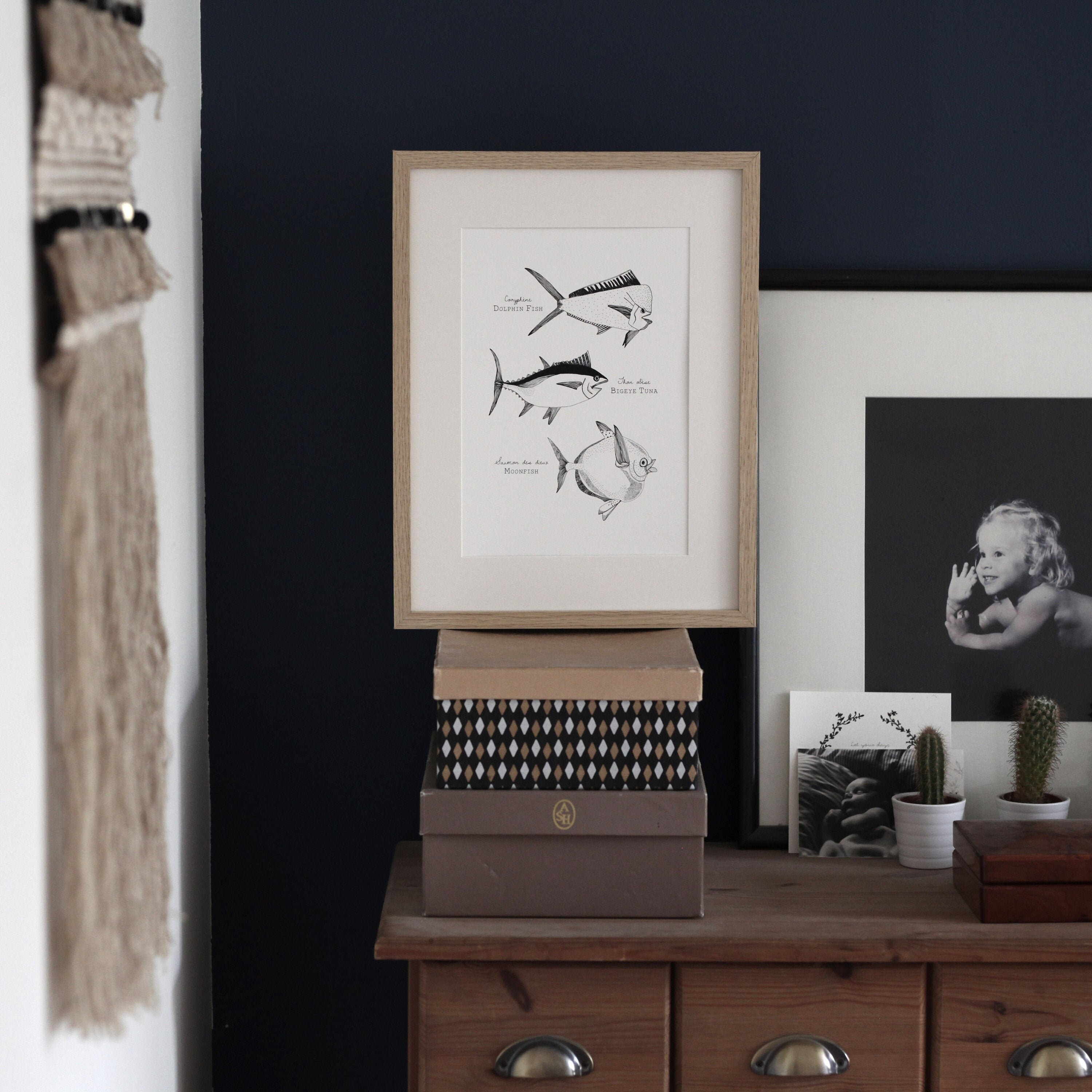 Poissons, Illustration Graphique, Bord de Mer, Noir et Blanc, Planche Pédagogique, Art Mural, Affich