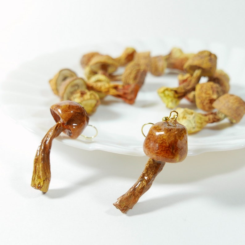 Real Dried Mushroom Fruit Slice Resin Earrings Hook/ Earring Etsy