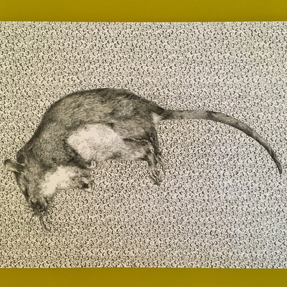 art-collectibles-pen-ink-dead-rat-drawing-0-05-pen-rodent-rat
