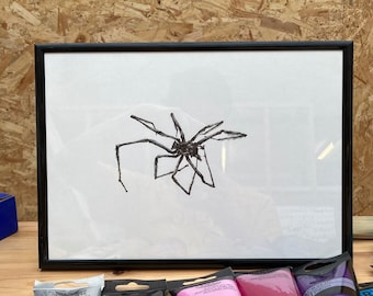 A Highly Detailed and Delicate Scientific Illustration of a Dead UK House Spider Found Summer 2021, Framed, A4 White Card, 005 Pen