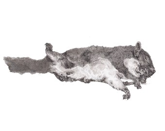 Hand Drawn Squirrel Print - Dead Squirrel, Pen and Ink Dot Drawing Print onto White Card