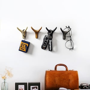 Metal Modern Wall Hooks image 3