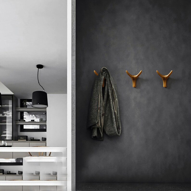 Metal Modern Wall Hooks image 8