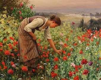 Cogliendo papaveri, Schema punto croce in formato PDF, Schema punto croce, Schema stampabile,