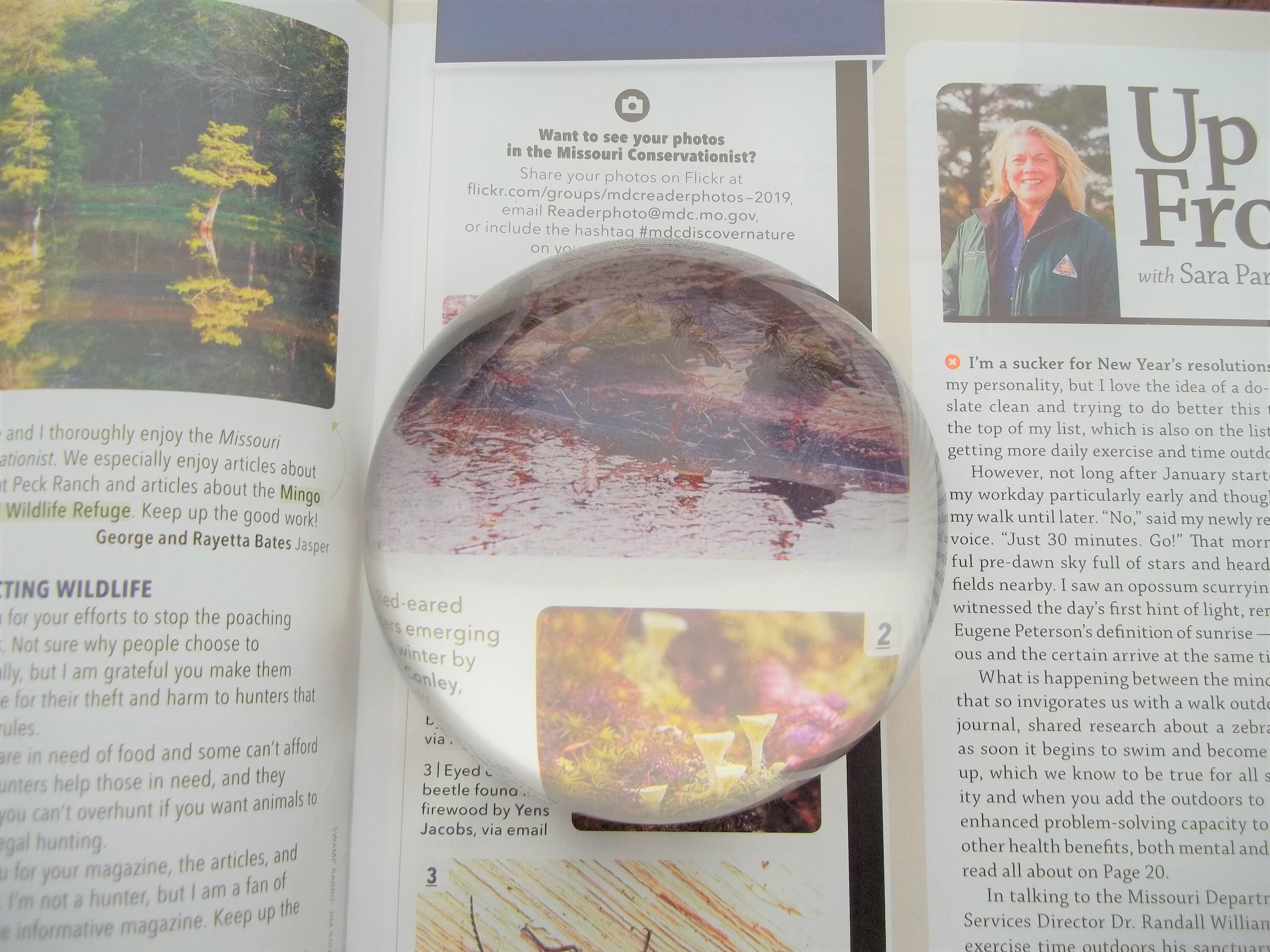 Clear Paperweight Magnifying Glass Convex Dome Half Sphere Mid Etsy