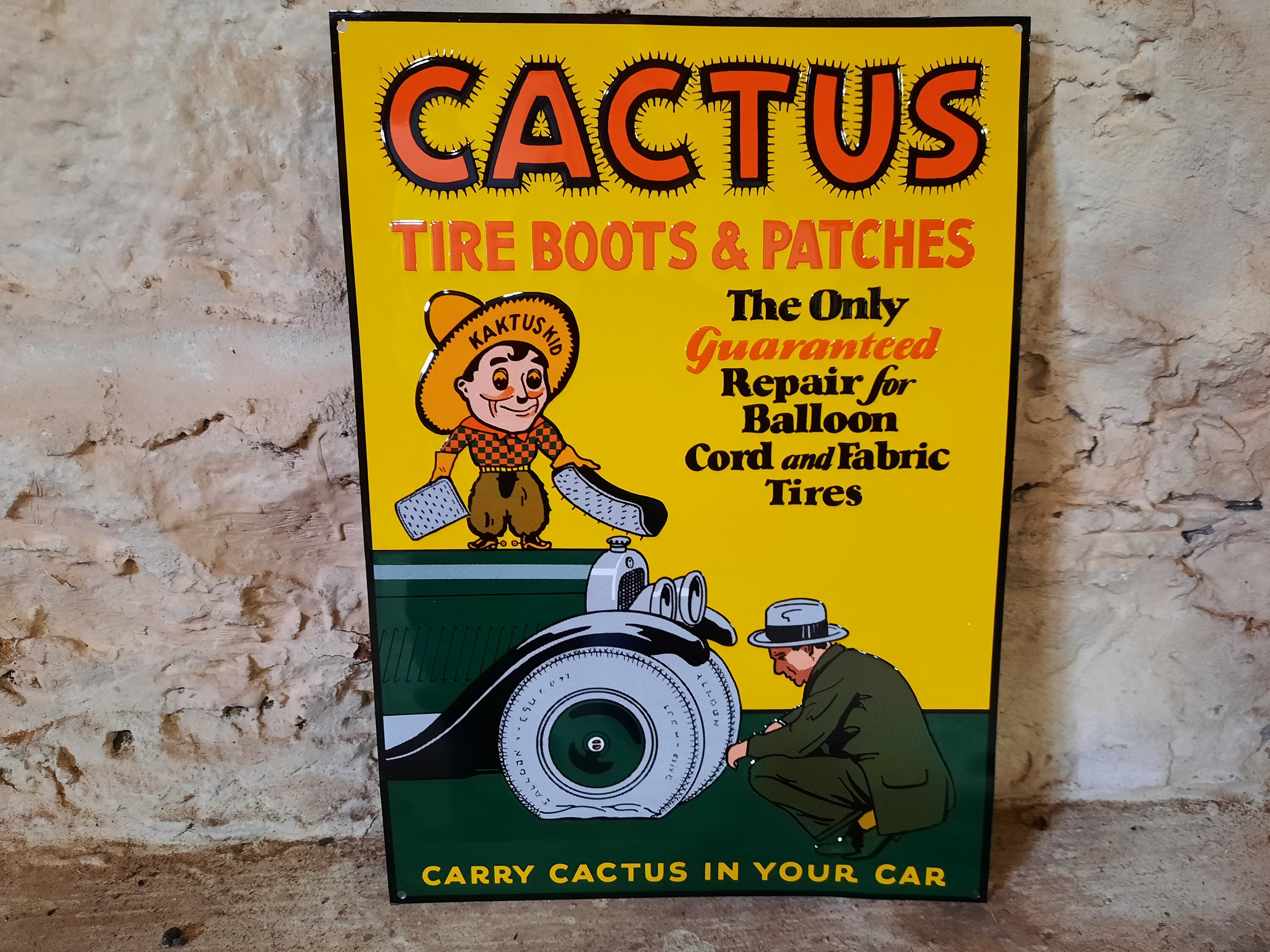 cactus star Astrophytum ornatum 