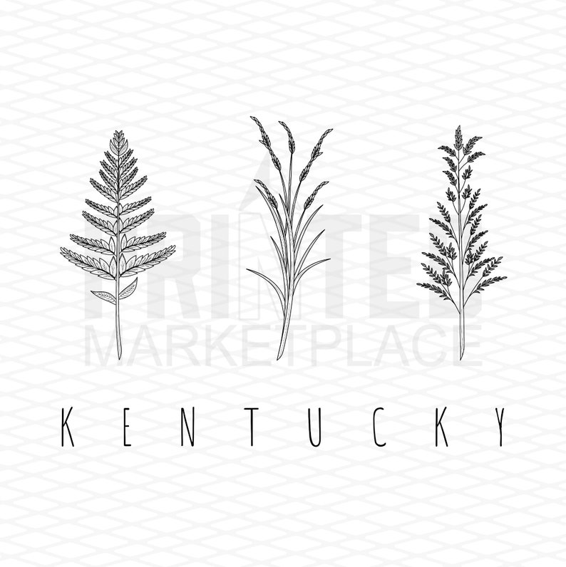 Kentucky State Floral Tee Shirt Or Hoodie By Lily and Grace Adults