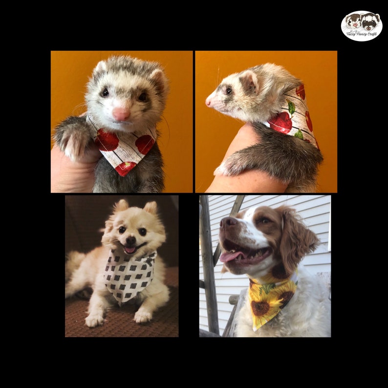 floral dog kitten cat ferret small animal Pet Bandannas