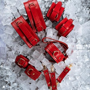 Red Leather Bondage Set [4in1], Restraint Kit for Woman, Leather Harness Restraint Set, Kinky Submissive Gears