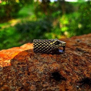 Pode incluir: Um anel detalhado, de cor bronze, em forma de cabeça de cobra, com escamas texturizadas e boca aberta. O anel está sobre uma pedra áspera, castanho-avermelhada, com um fundo verde desfocado.