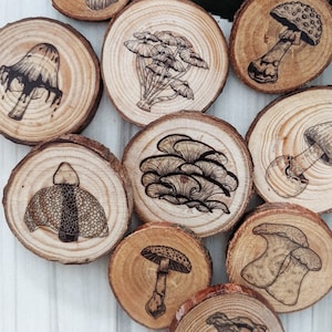 Tiny mushroom magnet sets - rustic wood slice Yule/Christmas gifts - 4-5cm diam