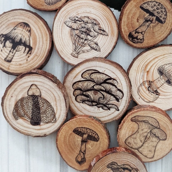 Little mushroom magnet sets - rustic wood slice Yule/Christmas gifts - 4cm diam