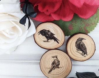 Tiny Corvids magnet set- 3-4cm diam - nature lover ornament magnets - wood slice - corvidae