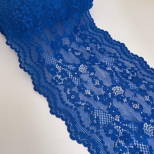 May include: A close-up of blue lace trim with a floral pattern. The lace is delicate and intricate, with a scalloped edge.