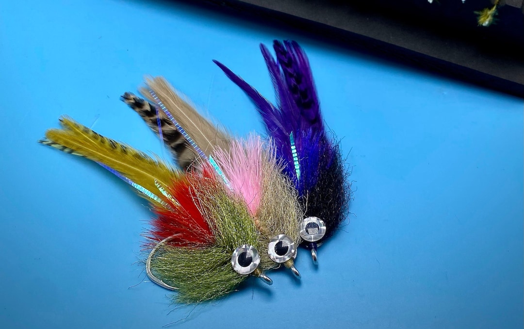 Live Bait Mosquito Lagoon Bait Shop Redfish Fly Canada