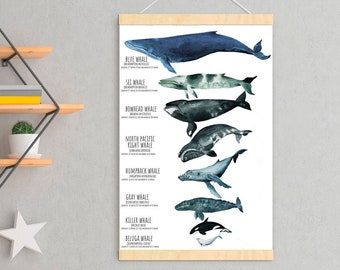 Whales poster Educational ocean nursery wall decor Under the sea kid room decor