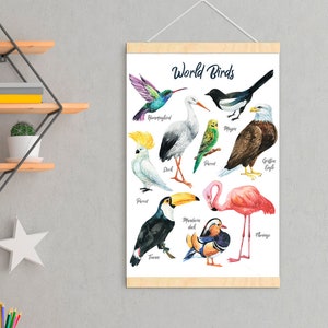 Poster di uccelli del mondo, decorazione murale per cameretta dei bambini, uccelli acquerellati, decorazione per cameretta educativa