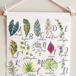 Alfabetposter kamerplant Botanisch ABC wanddecoratie AZ plant Educatieve kaart
