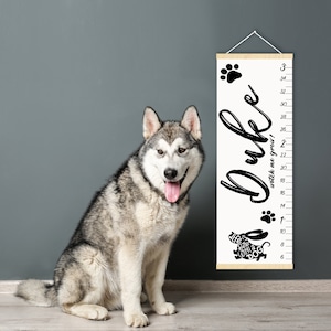 Wachstumsmessplatte für Hunde