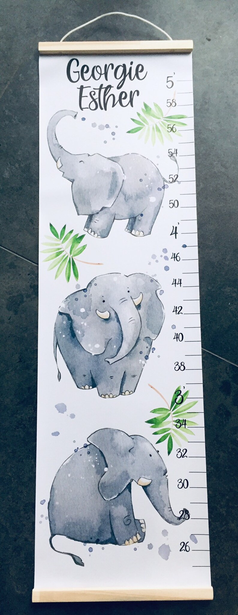 Elephant Height Chart Baby Elephant Growth Chart Animals Etsy