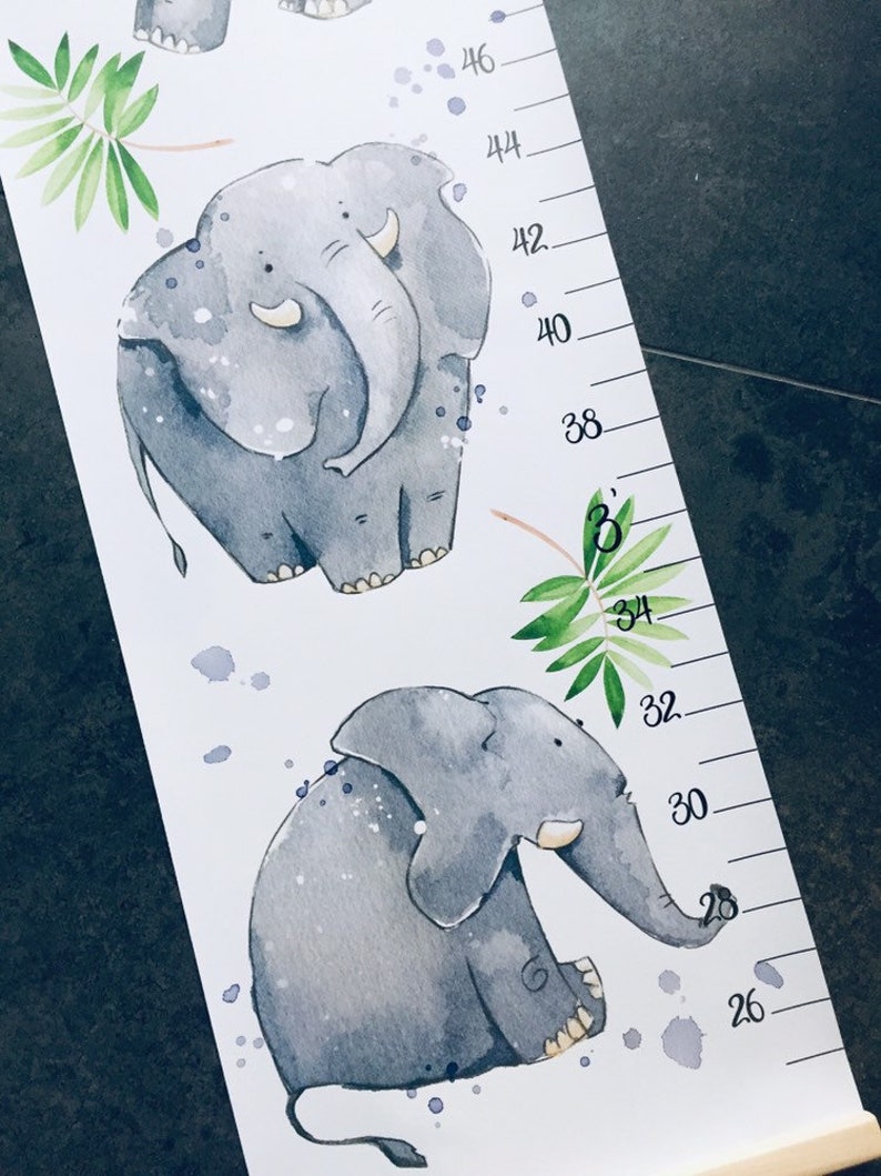 Elephant Height Chart Baby Elephant Growth Chart Animals Etsy